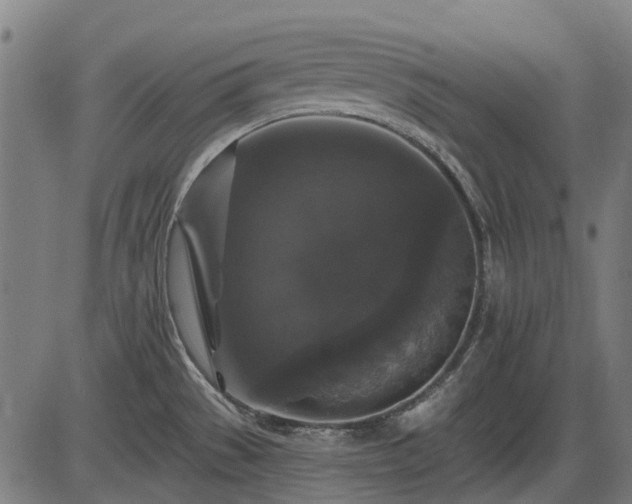 X0000085321529200703161453