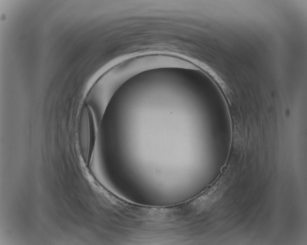 X0000085321534200703161453