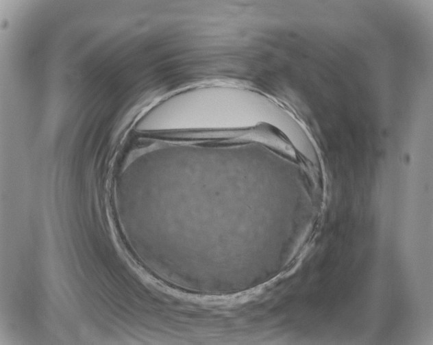 X0000085320001200703232001