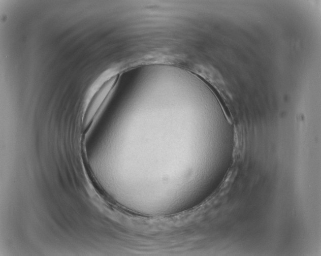X0000085320003200703232001
