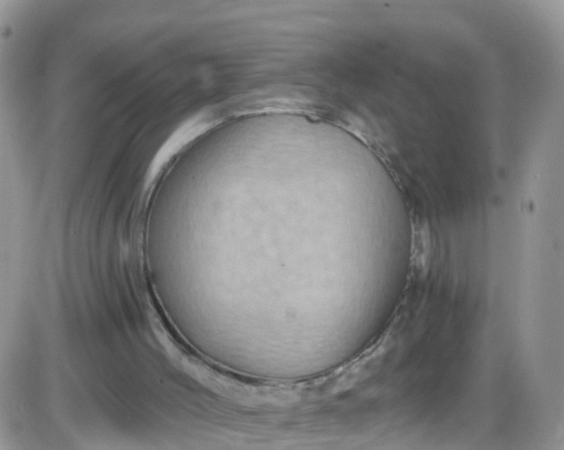 X0000085320004200703232001