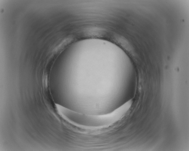 X0000085320021200703232001