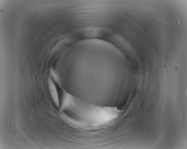 X0000085320035200703232001