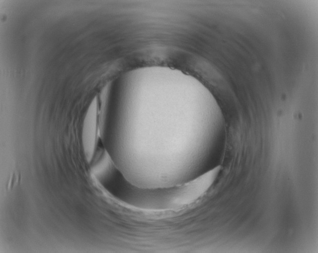 X0000085320037200703232001