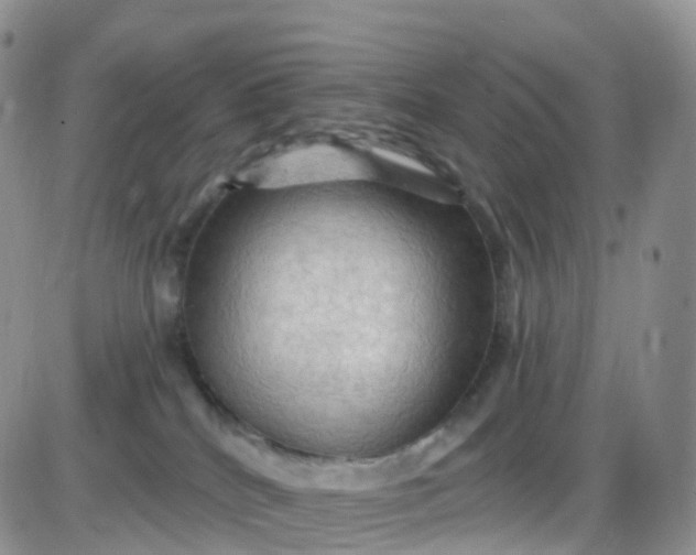 X0000085320040200703232001