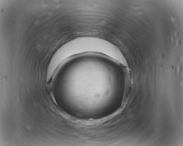 X0000085320045200703232001