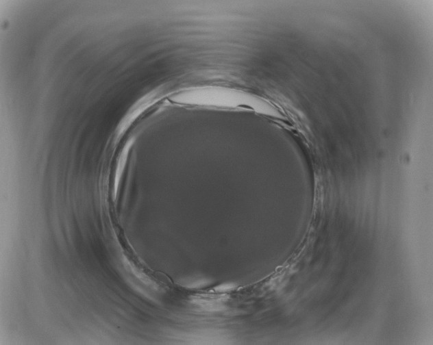 X0000085320051200703232000