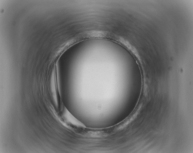 X0000085320057200703232000
