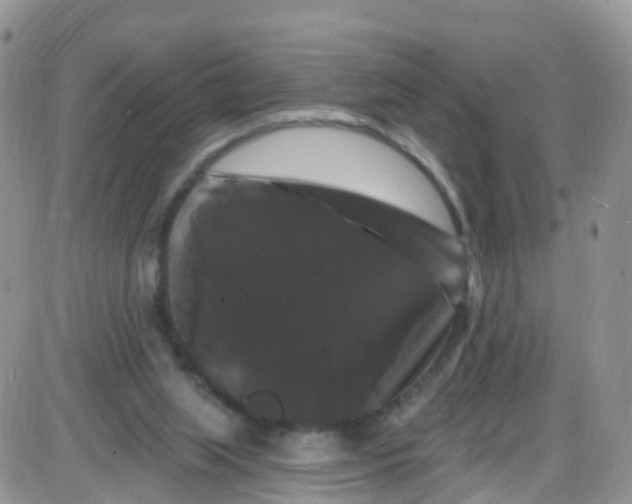 X0000085320063200703232000
