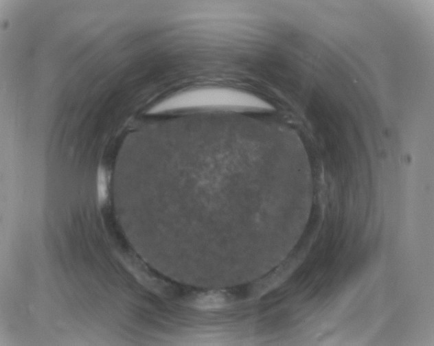 X0000085320075200703232000