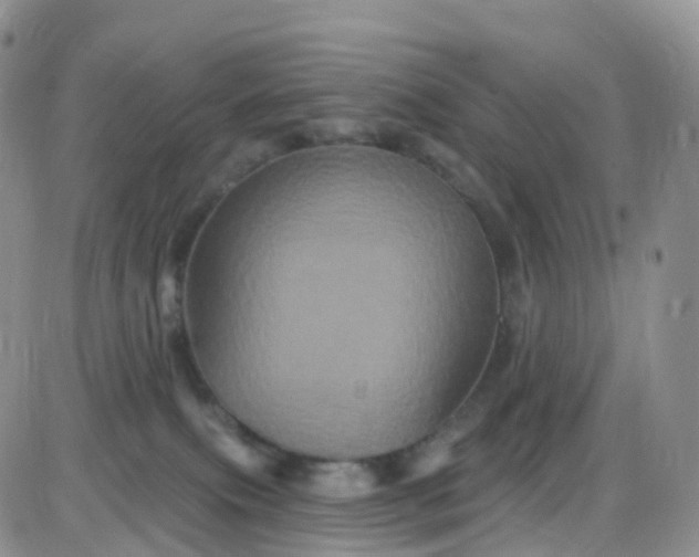X0000085320087200703232000
