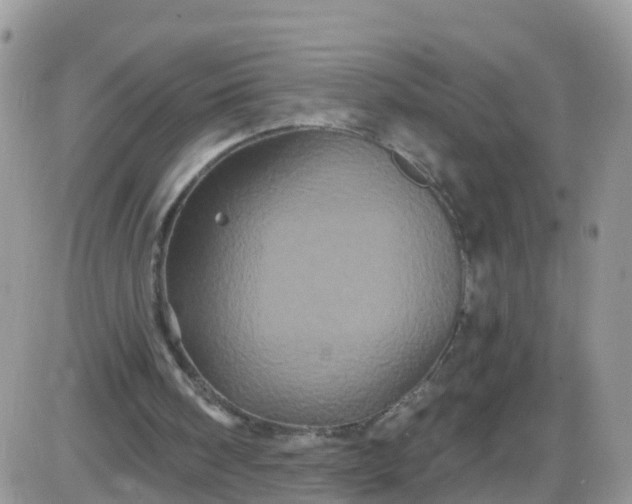 X0000085320098200703232000