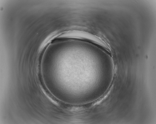 X0000085320101200703232000