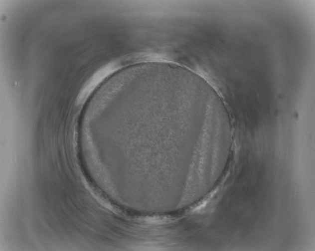 X0000085320103200703231959