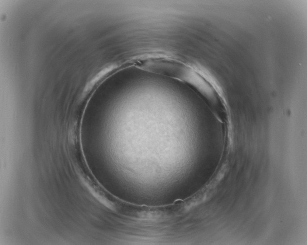 X0000085320105200703231959
