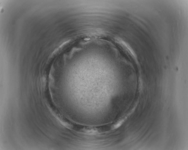 X0000085320113200703231959