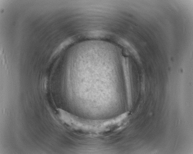 X0000085320115200703231959