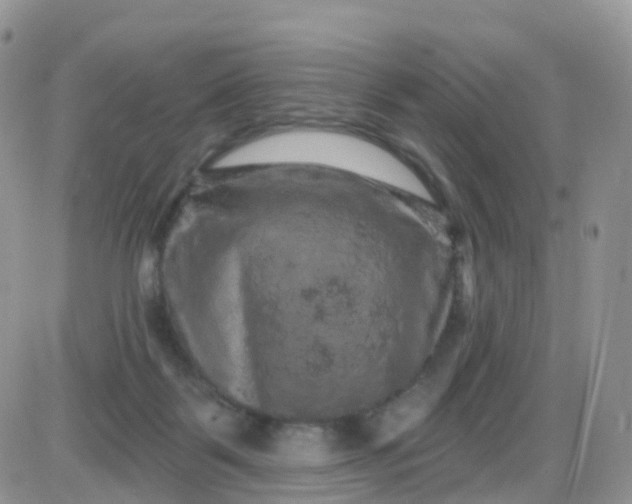 X0000085320123200703231959