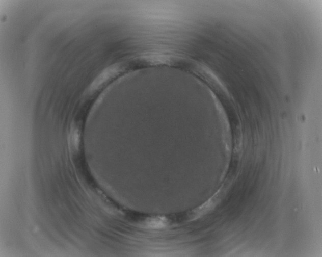 X0000085320124200703231959