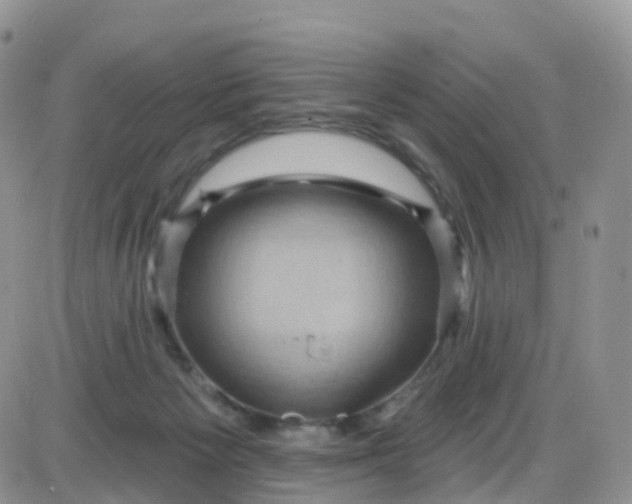 X0000085320125200703231959