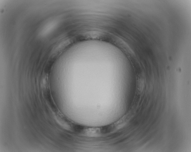 X0000085320126200703231959