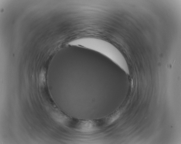 X0000085320127200703231959
