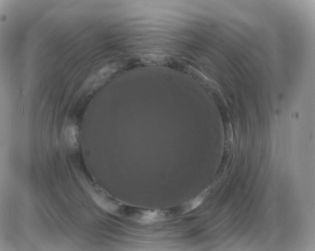X0000085320130200703231959