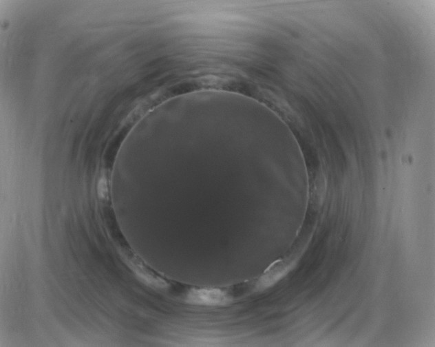 X0000085320137200703231959