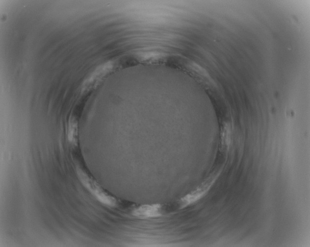 X0000085320138200703231959