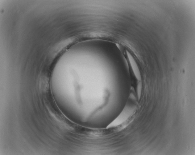 X0000085320164200703231958