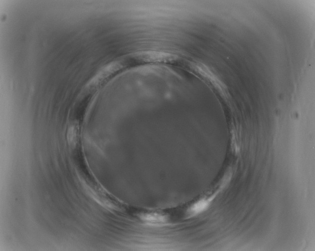 X0000085320165200703231958