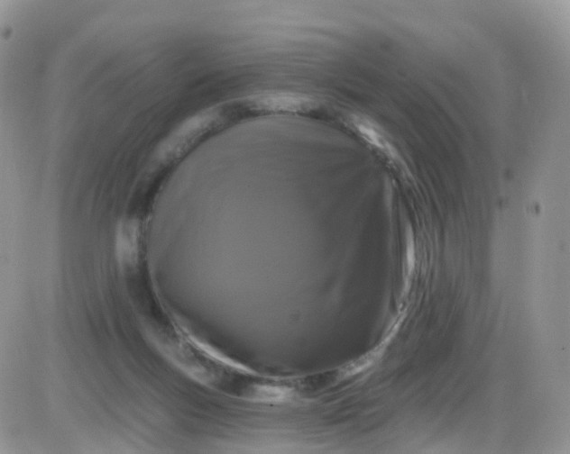 X0000085320167200703231958
