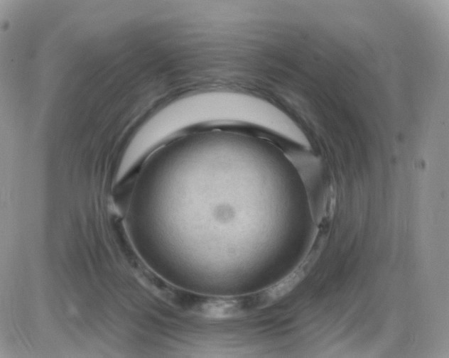 X0000085320172200703231958