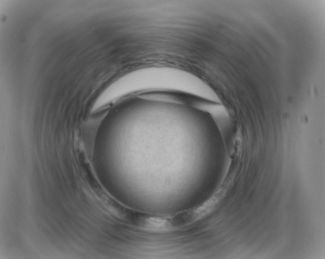 X0000085320176200703231958