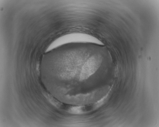 X0000085320178200703231959
