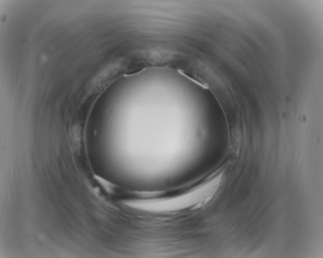 X0000085320184200703231959