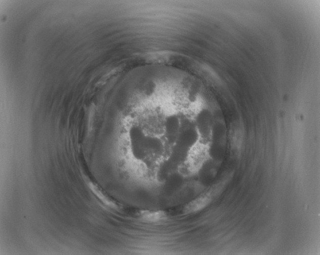 X0000085320185200703231959