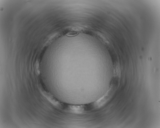 X0000085320187200703231959