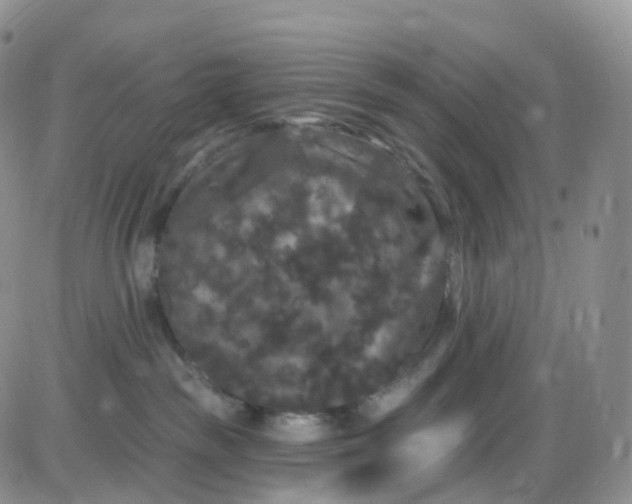 X0000085320189200703231959