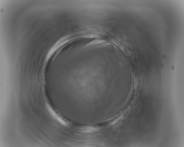 X0000085320198200703231958
