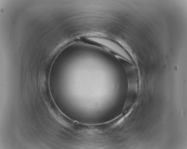 X0000085320201200703231958