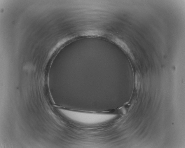 X0000085320204200703231958