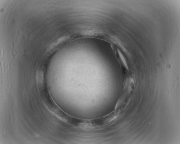 X0000085320211200703231958