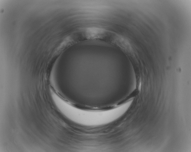 X0000085320219200703231958
