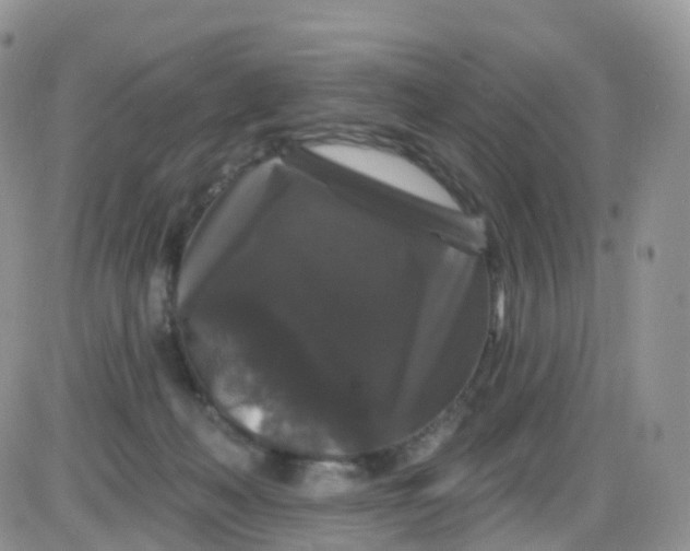 X0000085320222200703231957