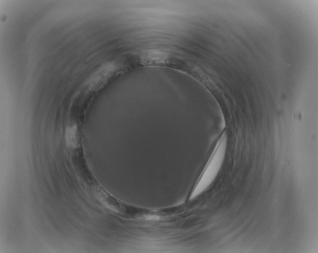 X0000085320224200703231957
