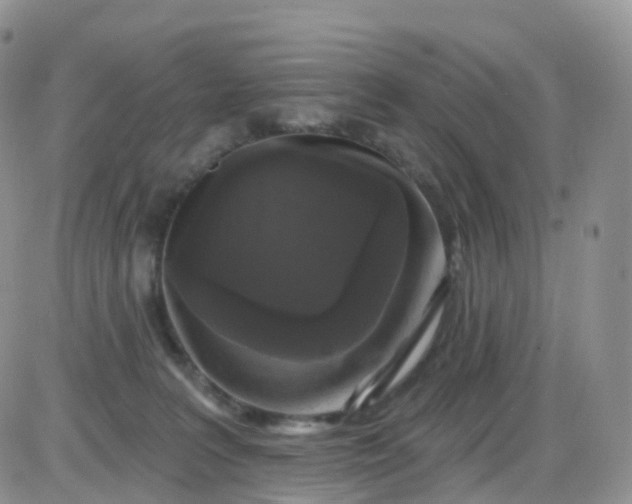 X0000085320227200703231957