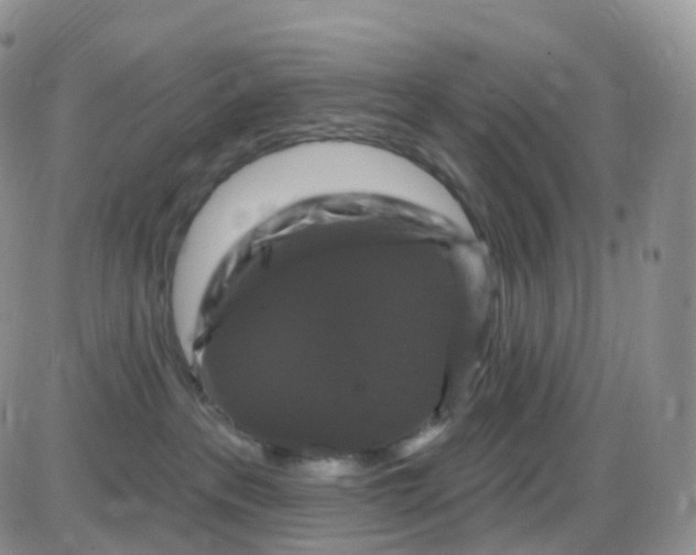 X0000085320237200703231957