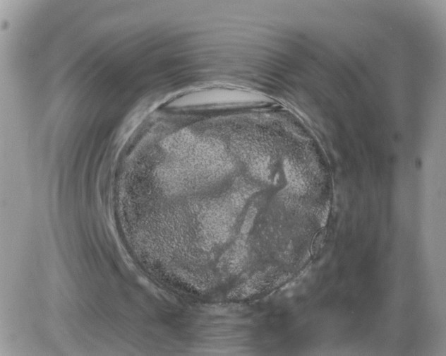 X0000085320241200703231956