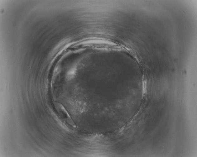 X0000085320243200703231956